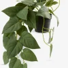 ANDERSENPlante artificielle ANDERSEN L43cm à suspendre