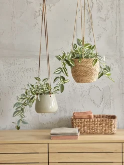 ASGARPlante artificielle ASGAR H48cm à suspendre