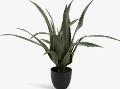 CELIUSPlante artificielle CELIUS H65cm aloe vera