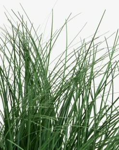 HAVELLEPlante artificielle HAVELLE H65cm herbe verte