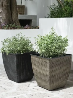 ISLOMPanier pour plantes ISLOM 31x31x32 assorti