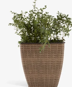 ISLOMPanier pour plantes ISLOM 38x38x39 assorti