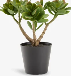 JOSTEINPlante artificielle JOSTEIN H23cm vert