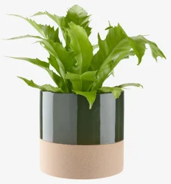 KRAGEBac à fleurs KRAGE Ø16xH15 vert foncé