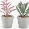 LOVEPlante artificielle LOVE Ø7xH15 ass.