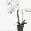 MATINUSPlante artificielle MATINUS H62cm orchidée blanche