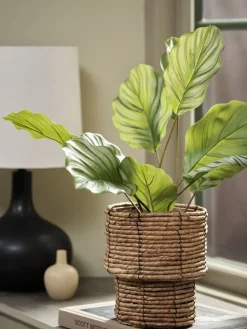 ROLFPlante artificielle ROLF H55cm vert