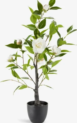 SOLOPGANGPlante artificielle SOLOPGANG H80 rose blanche